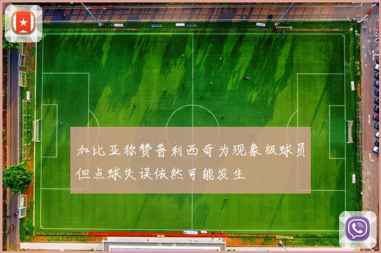 加比亚称赞普利西奇为现象级球员但点球失误依然可能发生