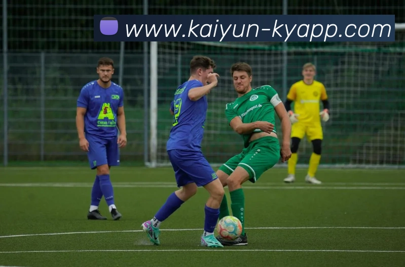 开云体育APP 封面图